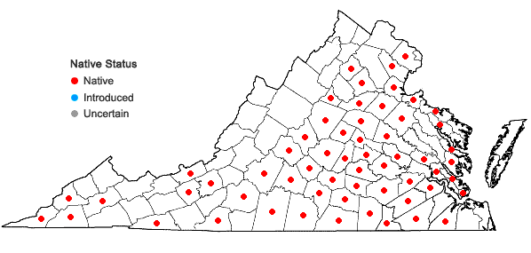 Locations ofMyosotis macrosperma Englem. in Virginia