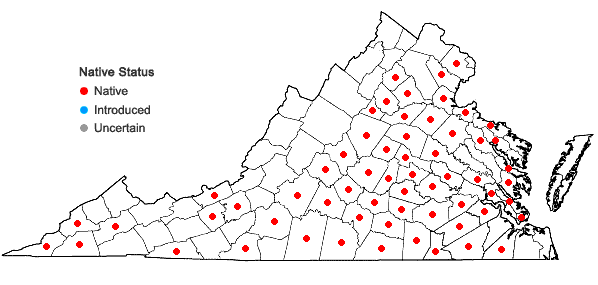 Locations ofMyosotis macrosperma Englem. in Virginia