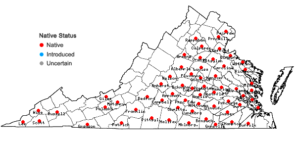 Locations ofMyosotis macrosperma Englem. in Virginia