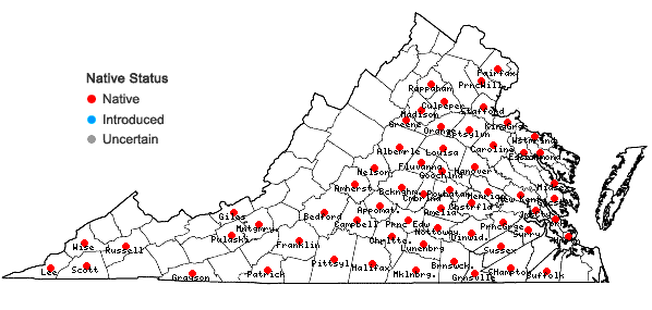 Locations ofMyosotis macrosperma Englem. in Virginia