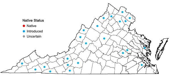 Locations ofMyosotis scorpioides L. in Virginia