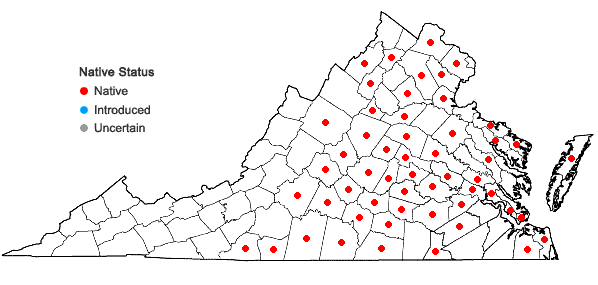 Locations ofMyosotis verna Nutt. in Virginia