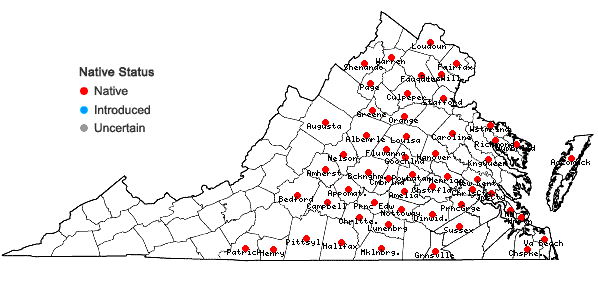 Locations ofMyosotis verna Nutt. in Virginia