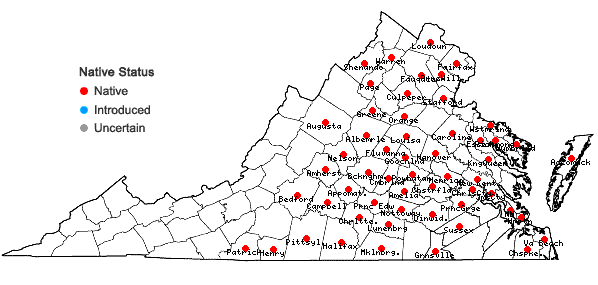 Locations ofMyosotis verna Nutt. in Virginia