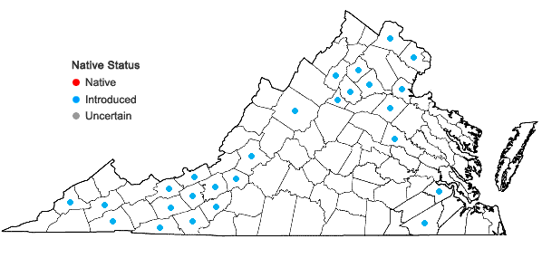Locations ofMyosoton aquaticum (L.) Moench in Virginia