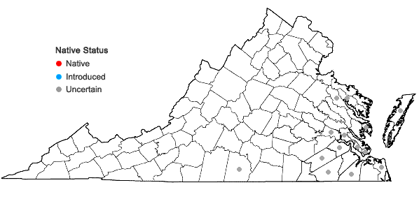Locations ofMyosurus minimus L. in Virginia