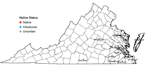 Locations ofMyosurus minimus L. in Virginia