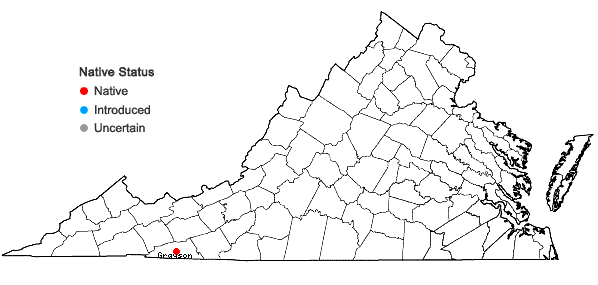 Locations ofMyrica gale L. in Virginia