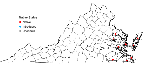 Locations ofMyriocoleopsis minutissima (Sm.) R.L. Zhu, Y. Yu & Pocs ssp. minutissima in Virginia