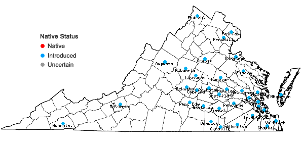 Locations ofMyriophyllum aquaticum (Vell.) Verdc. in Virginia