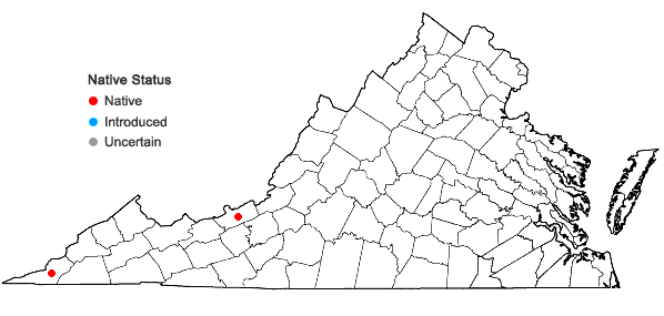 Locations ofMyriopteris alabamensis (Buckley) Grusz & Windham in Virginia
