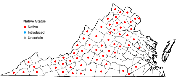 Locations ofMyriopteris lanosa (Michaux) Grusz & Windham in Virginia
