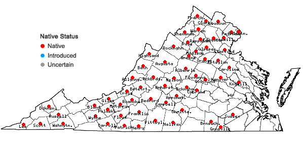 Locations ofMyriopteris lanosa (Michaux) Grusz & Windham in Virginia