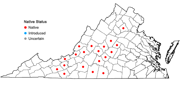Locations ofMyriopteris tomentosa (Link) Fée in Virginia