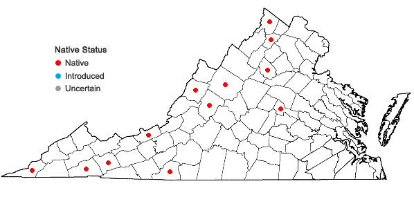 Locations ofMyurella sibirica (Müll. Hal.) Reimers in Virginia