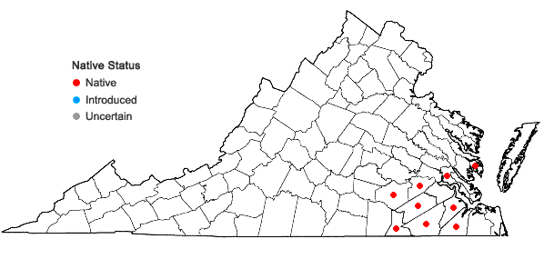 Locations ofNabalus autumnalis (Walter) Weakley in Virginia