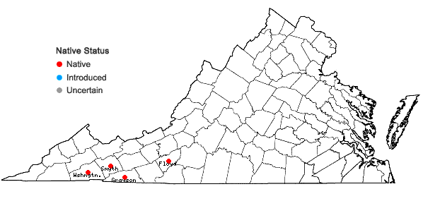 Locations ofNabalus roanensis Chickering in Virginia