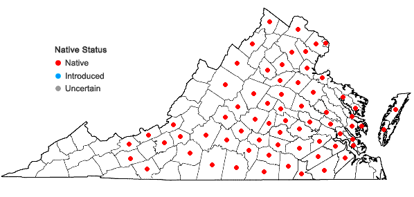 Locations ofNabalus serpentarius (Pursh) Hooker in Virginia