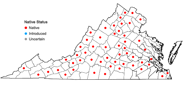 Locations ofNabalus trifoliolatus Cassini in Virginia