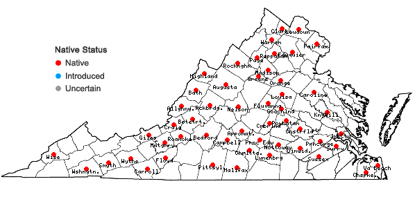 Locations ofNabalus trifoliolatus Cassini in Virginia