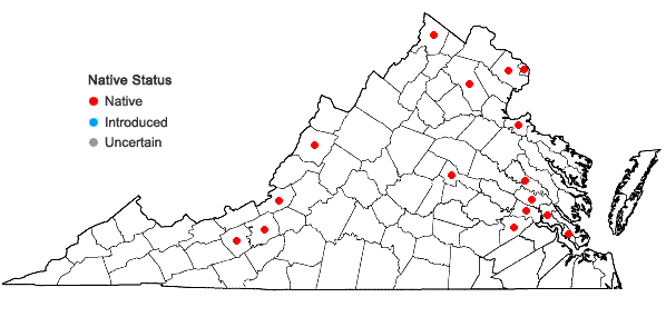 Locations ofNajas canadensis Michx. in Virginia