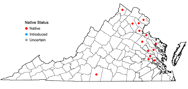 Locations ofNajas gracillima (A. Braun ex Engelm.) Magnus in Virginia