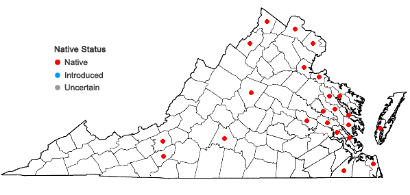 Locations ofNajas guadalupensis (Spreng.) Magnus var. guadalupensis in Virginia