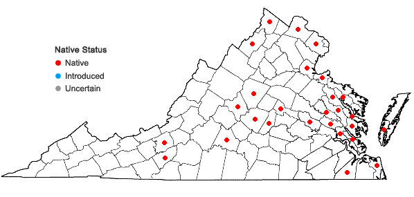 Locations ofNajas guadalupensis (Spreng.) Magnus var. guadalupensis in Virginia