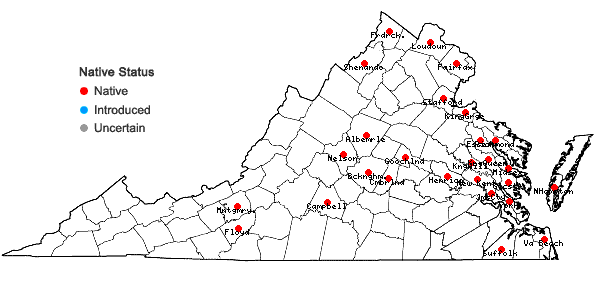 Locations ofNajas guadalupensis (Spreng.) Magnus var. guadalupensis in Virginia