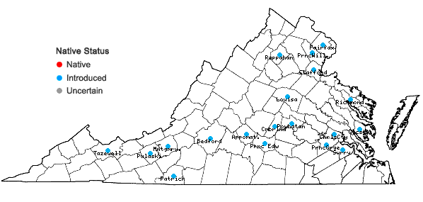 Locations ofNajas minor All. in Virginia