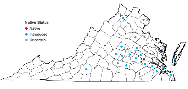 Locations ofNandina domestica Thunberg in Virginia