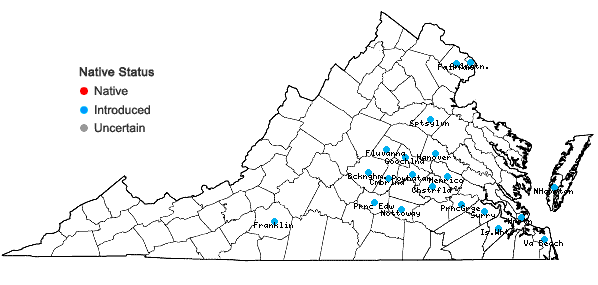 Locations ofNandina domestica Thunberg in Virginia