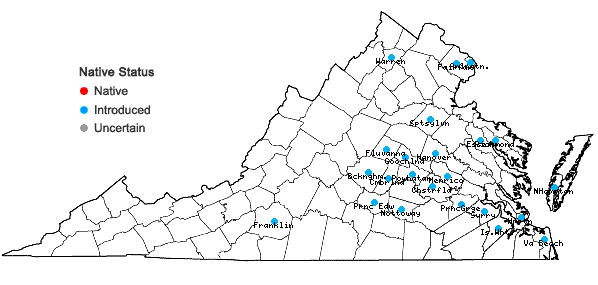 Locations ofNandina domestica Thunberg in Virginia
