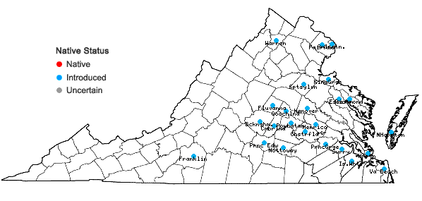 Locations ofNandina domestica Thunberg in Virginia
