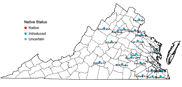 Locations ofNarcissus tazetta L. in Virginia