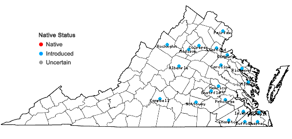 Locations ofNarcissus tazetta L. in Virginia