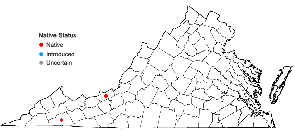 Locations ofNeckera complanata (Hedw.) Huebener in Virginia