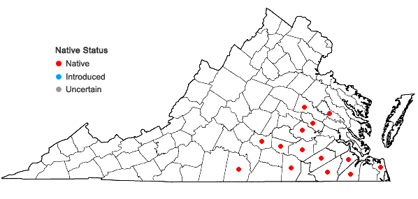 Locations ofNekemias arborea (L.) J. Wen & Boggan in Virginia