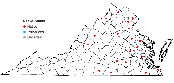 Locations ofNelumbo lutea Willd. in Virginia