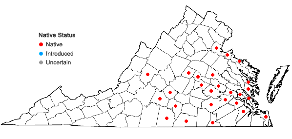 Locations ofNemophila aphylla (L.) Brummitt in Virginia