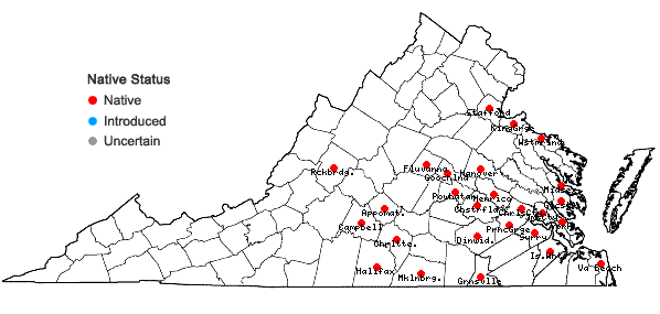 Locations ofNemophila aphylla (L.) Brummitt in Virginia