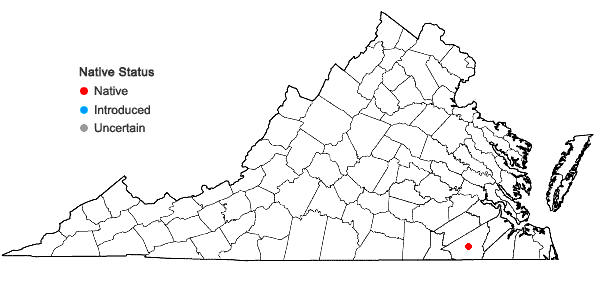 Locations ofNeobeckia aquatica (Eaton) Greene in Virginia