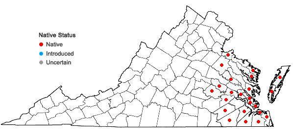 Locations ofNeottia bifolia (Raf.) Bombach in Virginia
