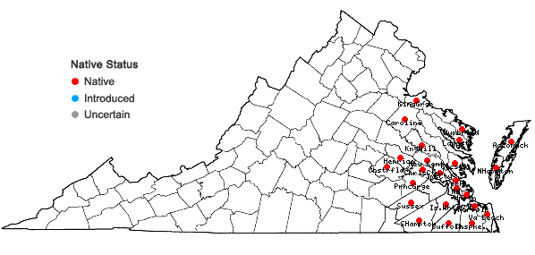 Locations ofNeottia bifolia (Raf.) Bombach in Virginia