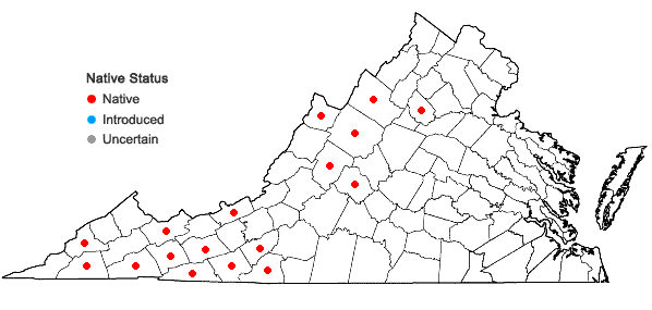 Locations ofNeottia smallii (Wieg.) Szlachetko in Virginia