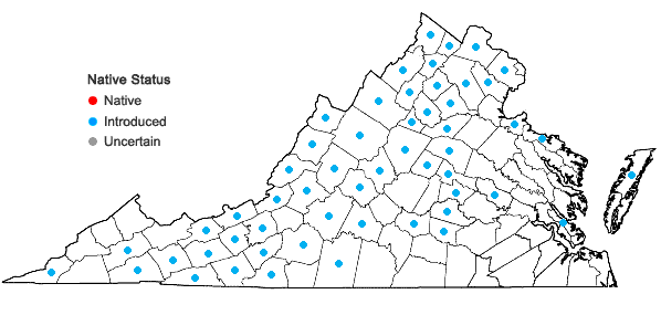 Locations ofNepeta cataria L. in Virginia
