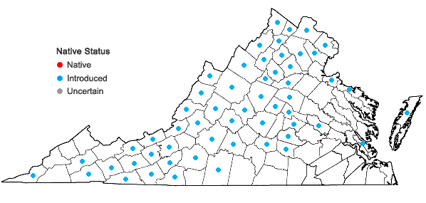 Locations ofNepeta cataria L. in Virginia