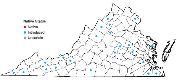 Locations ofNicandra physalodes (L.) Gaertner in Virginia