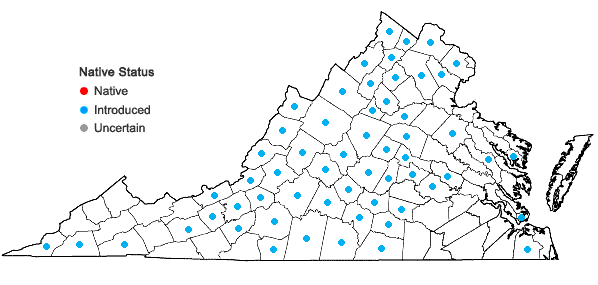 Locations ofNoccaea perfoliata (Linnaeus) Al-Shehbaz in Virginia