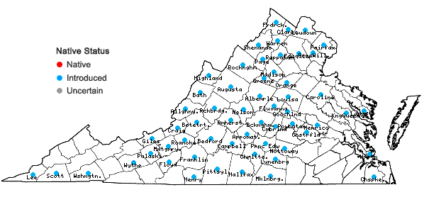 Locations ofNoccaea perfoliata (Linnaeus) Al-Shehbaz in Virginia